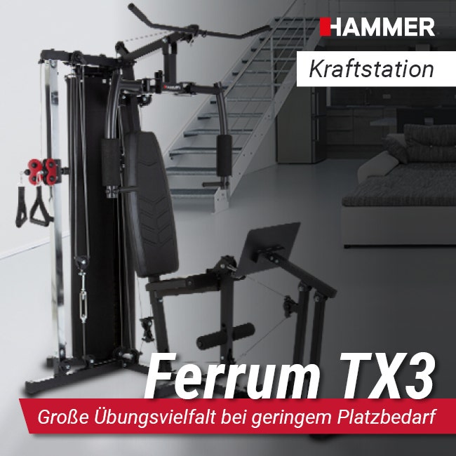 Ferrum manufacturer premium service multi-gym ᐅ TX4 +