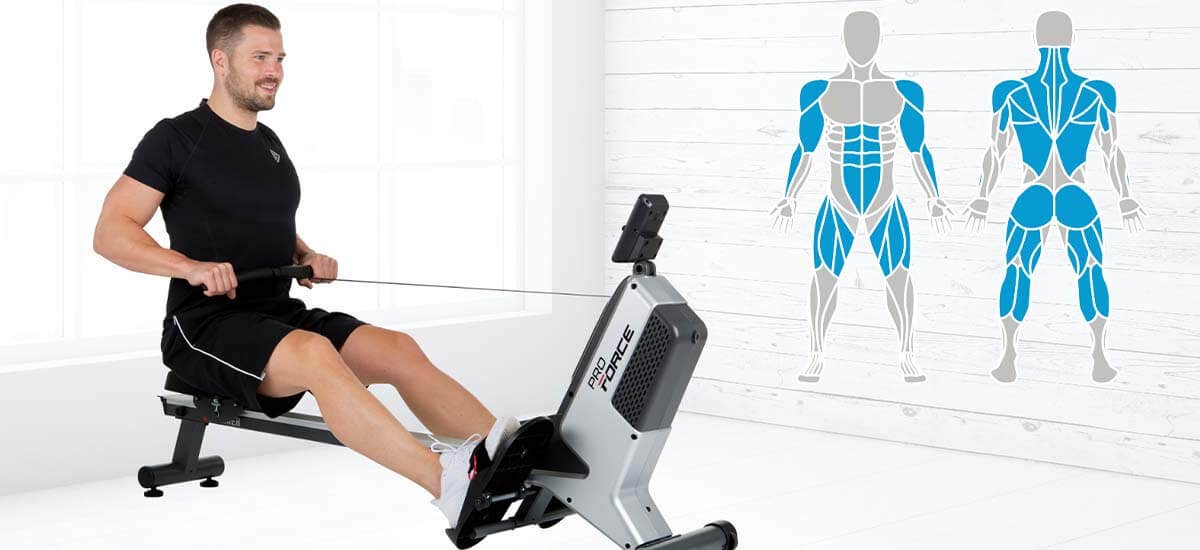 Which muscles are trained when rowing Which muscles are trained when rowing