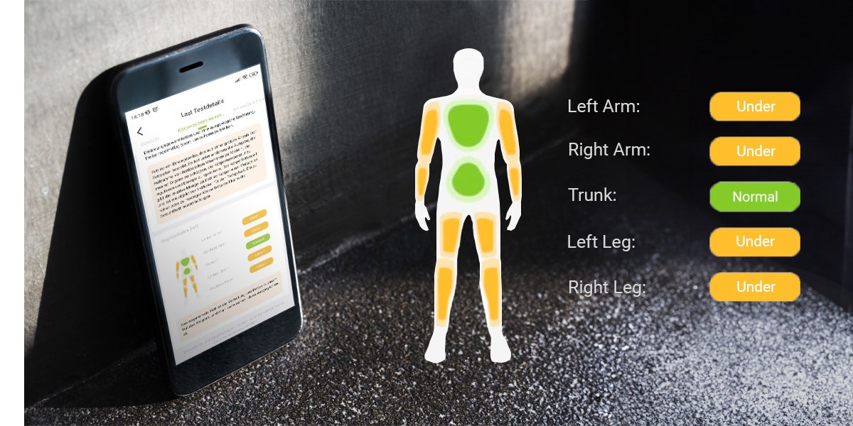 Body composition Body composition