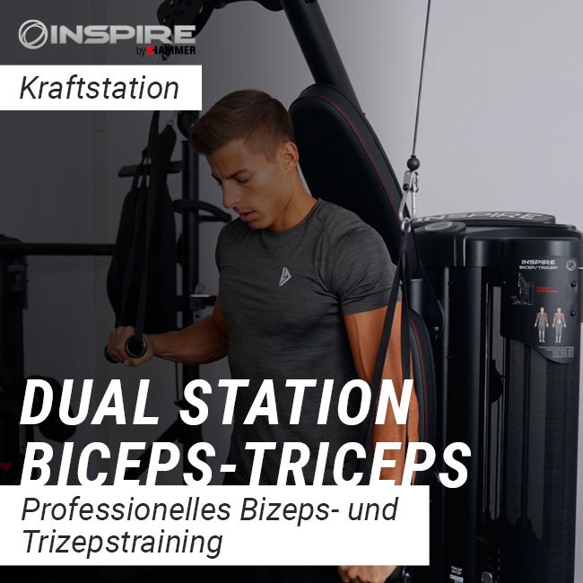 Dual Station Biceps/Triceps