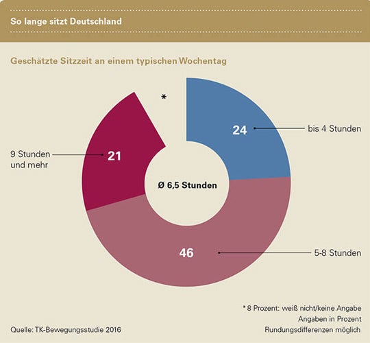 Bewegungsstudie der TK 2016